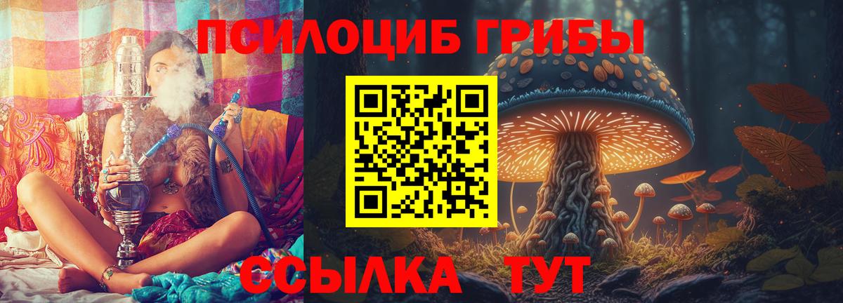 Выкса  где найти   Псилоцибиновые грибы GOLDEN TEACHER  Вход с VPN  Галлюциногенные грибы Psilocybe 